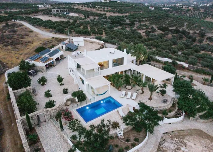 Villa Olympia In The Palm Trees