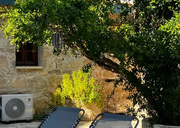 Florence Dreaming House