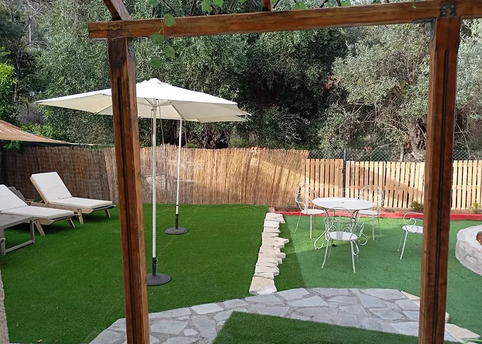 Olive Tree Villa