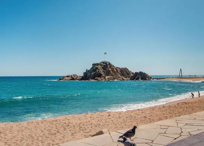 Lovely Apartment In Blanes With Wifi