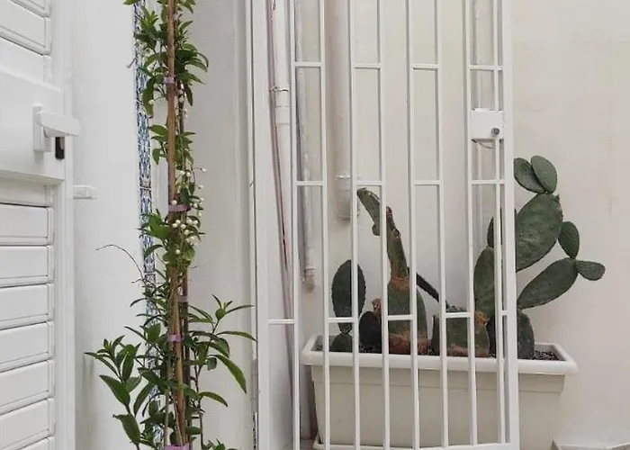 Il Cortile Di Mabe