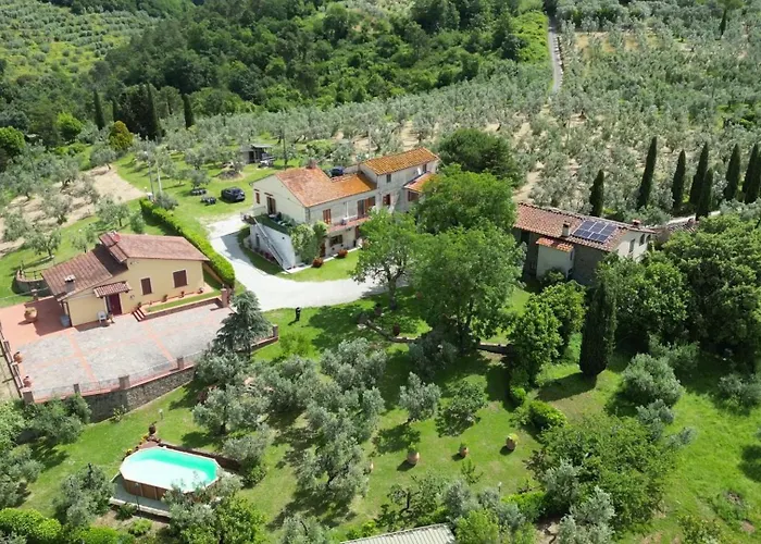 Il Palagio