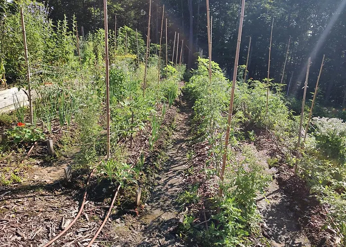 Healing Acres