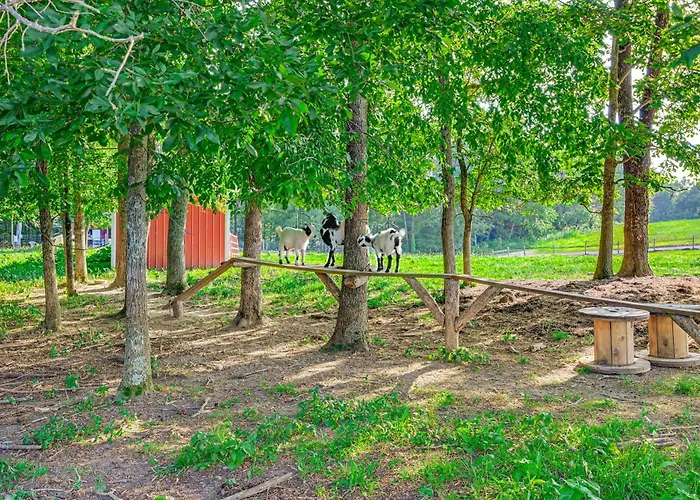 Working Farm W/ Fishing Pond! Brownsville Gem