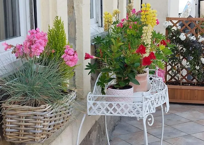 Aux Pierres D'Opale, Maison 3 Ch, 4 A 6 Pers
