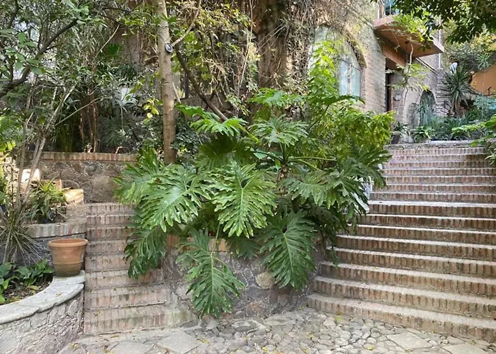 Comfortable Loft And Great Location