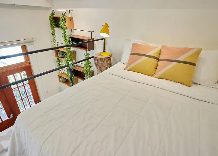 Amazinn Panama Casa Arias Boutique