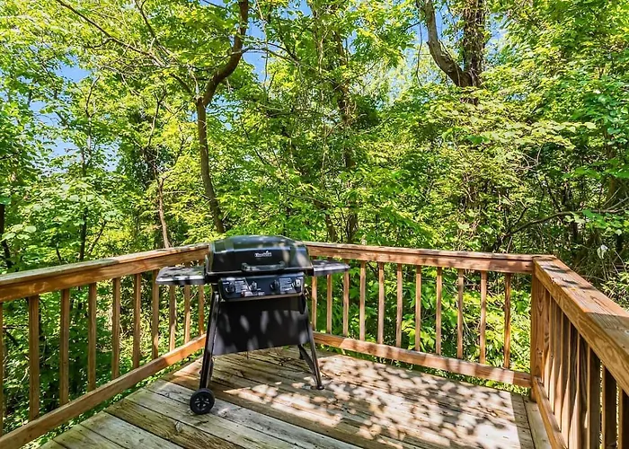 Shenandoah Mountain Cottage W Hot Tub & Fire Pit