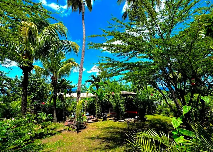 Majo Lounge Dans Un Jardin Tropical Vue Mer ,5 Min De La Plage Caraibe