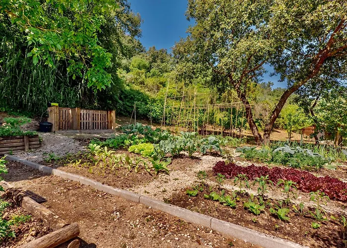 Oaktree Villa - Quinta Da Bellavista