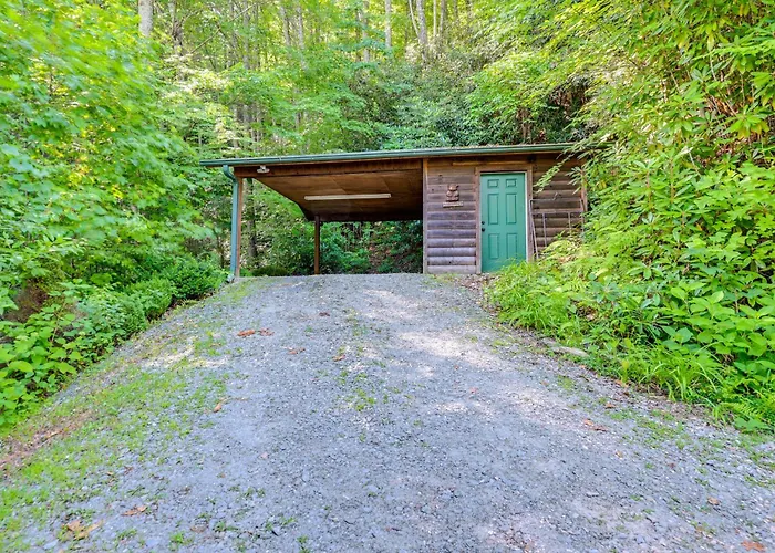 Pet-Friendly Cabin W/ Fireplace, Smoky Mtn Views