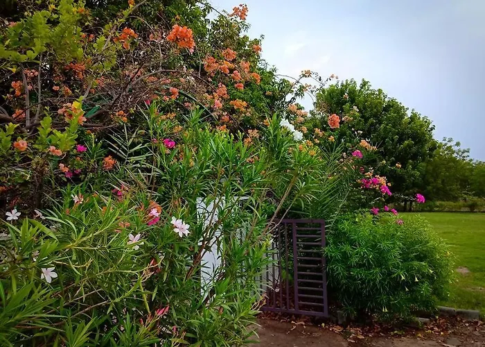 Mamta'S Home- Kensville