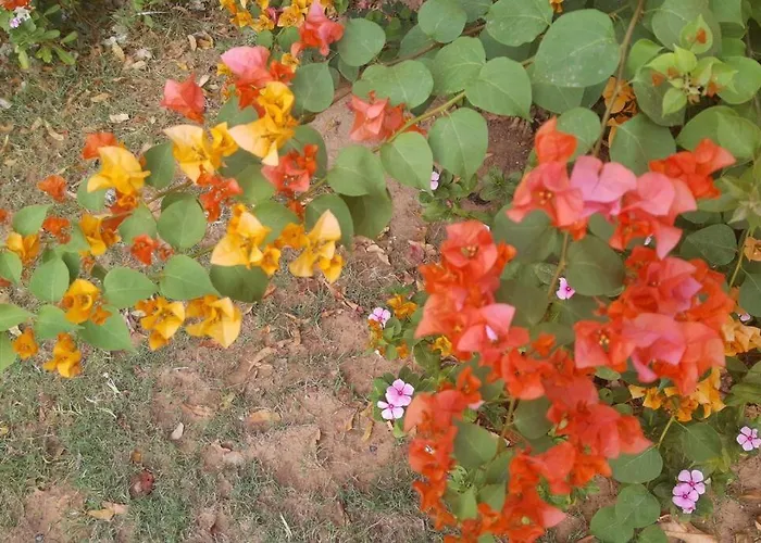 Mamta'S Home- Kensville