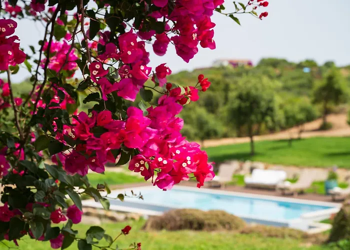 North Sardinia Retreats Stazzo Liccia Barria - Villa Con Piscina