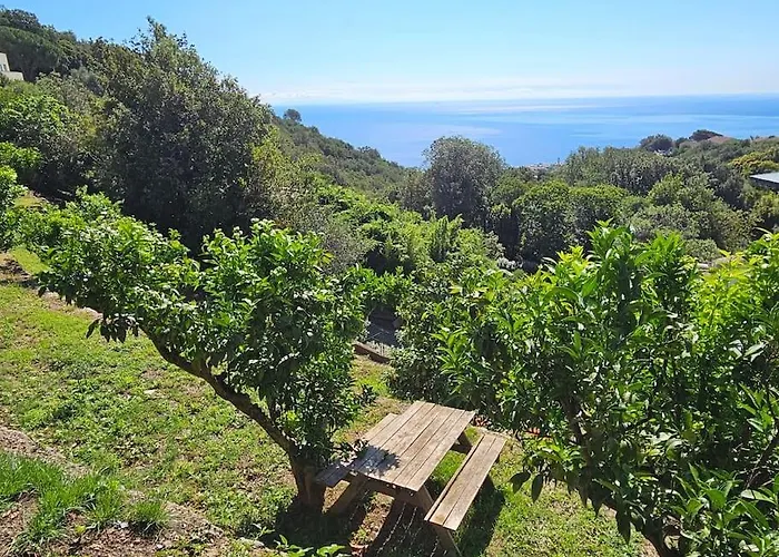 Villa Prestige Avec Piscine - Dans Les Hauteurs De Bastia