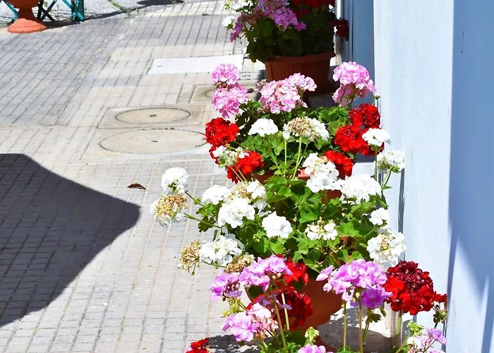 Villino La Perla Azzurra- Marina Di Pisa