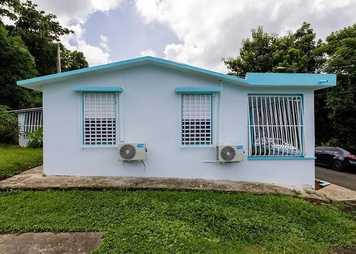 Huge Porch House In Rainforest 15 Min From Beach