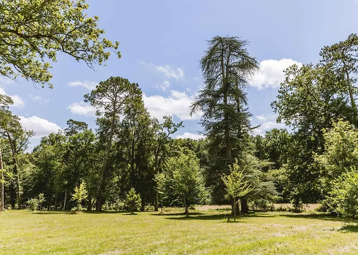 Domaine De Perenard