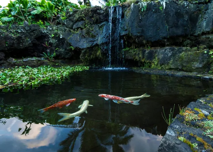 Hana Kai Maui - #4 Nanuʻalele Oceanfront 1 Br