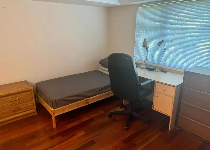 Cozy & Friendly Home Single Room