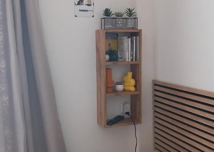 Studio Valliere Les Halles 15M2 Avec Clim