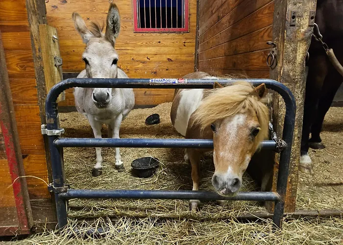 Clover Hill Farm & Country Inn