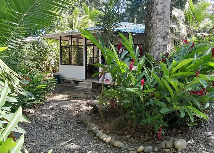Beachfront Apartment Punta Uva