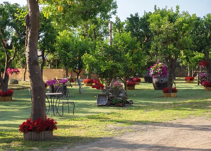 Giardino Di Nonno Lucio - Surrounded By Lemon Tree