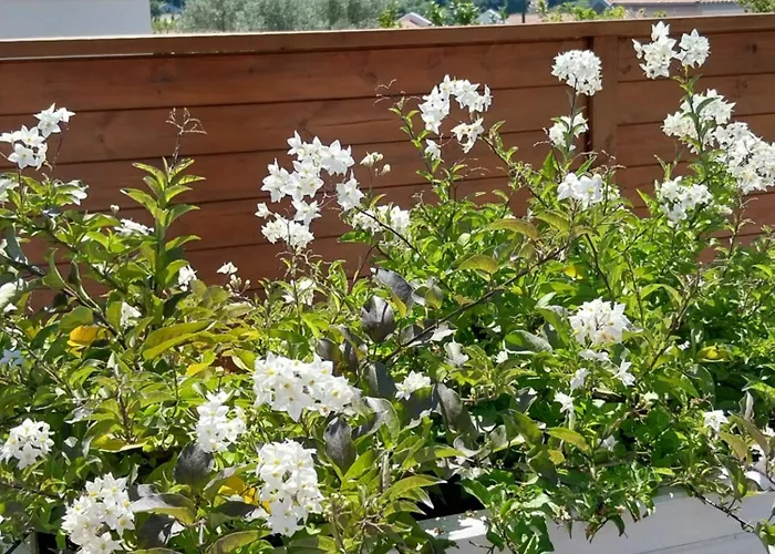 Studio Cocon Enea Bidart, Terrasse Et Parking