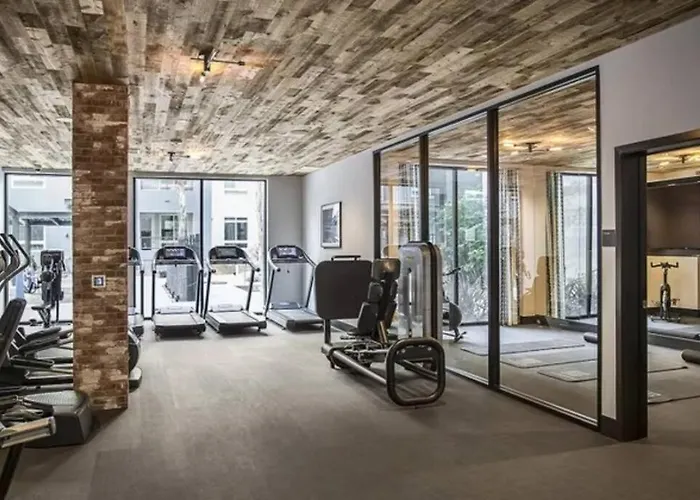 Modern And Lavish Apartment