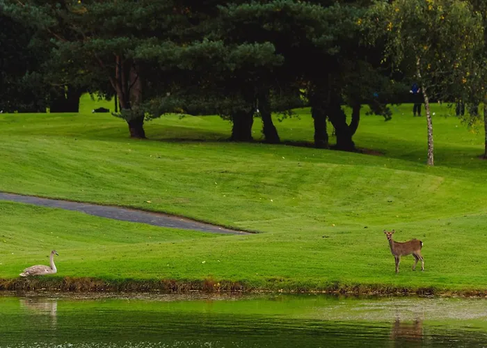 Waterford Castle Hotel Lodges