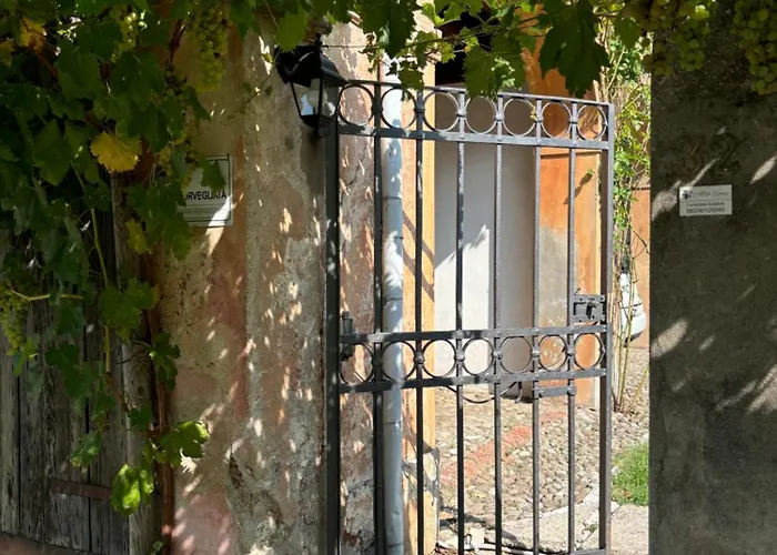 Alla Vigna