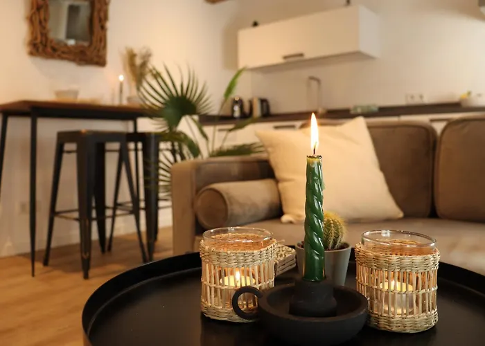 Coolest Apartments In Haarlem City - Close To Beach And Amsterdam
