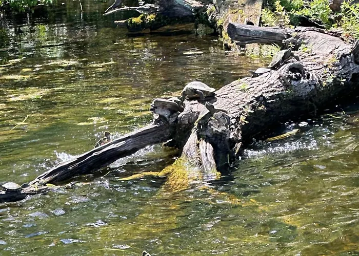 Channel Escape