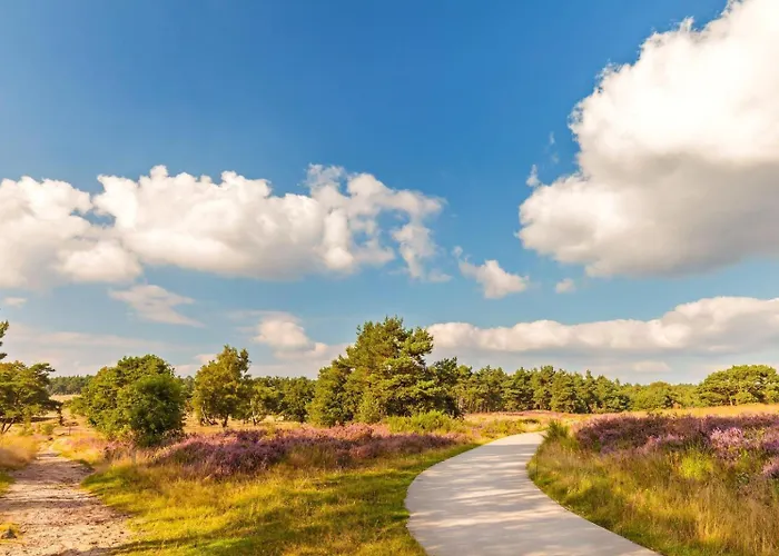 TOP Luxe chalet - kindvriendelijk - bos en heide