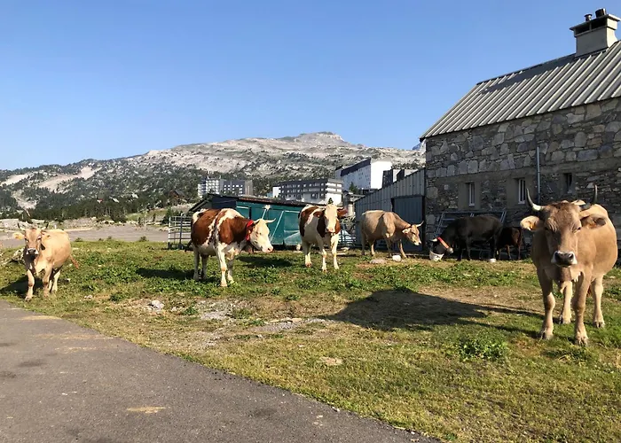 Pyrenees Coeur De Station Gr10 Randonnees