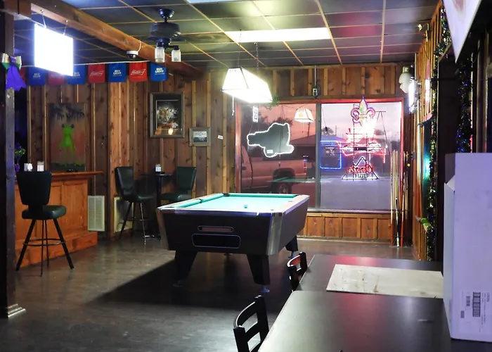 Gators Inn On The Bayou