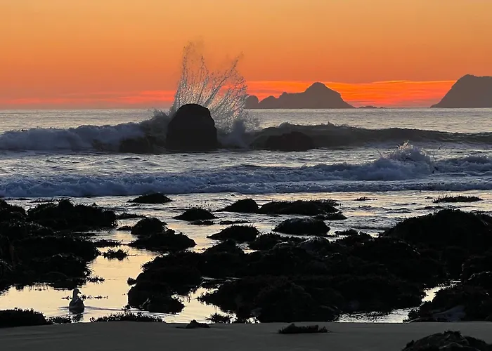 The Cove At Port Orford - 5 Ocean Front Suites