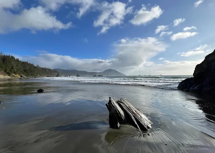 The Cove At Port Orford - 5 Ocean Front Suites