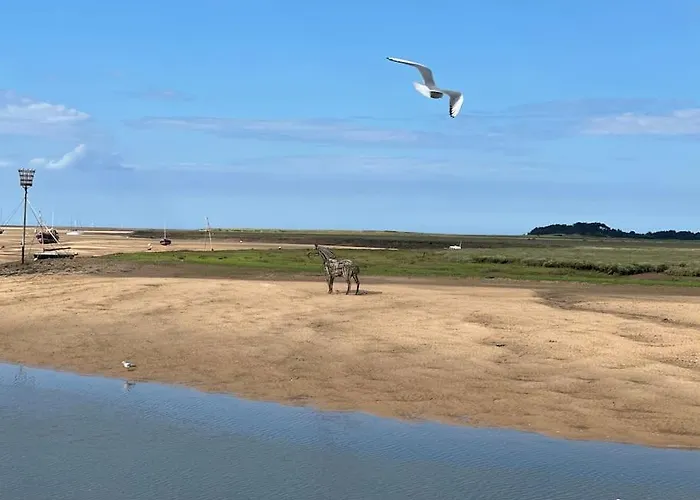 The Top Deck, Wells-Next-The-Sea