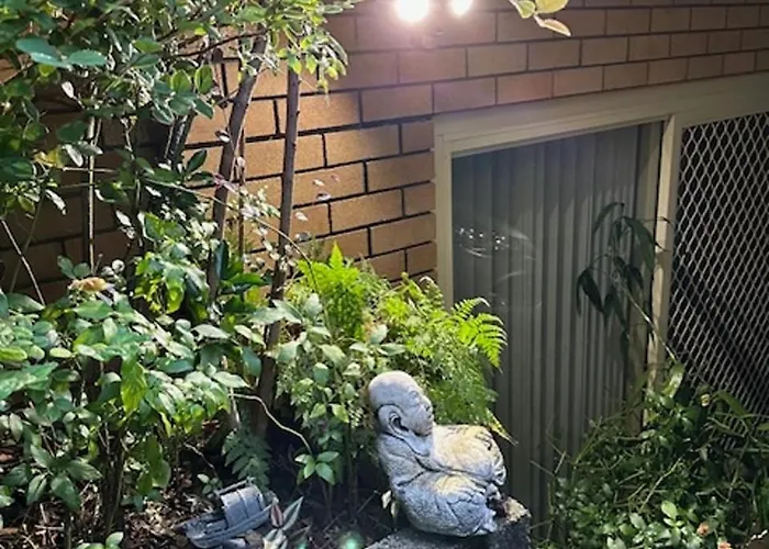 The Singing Frogs Studio