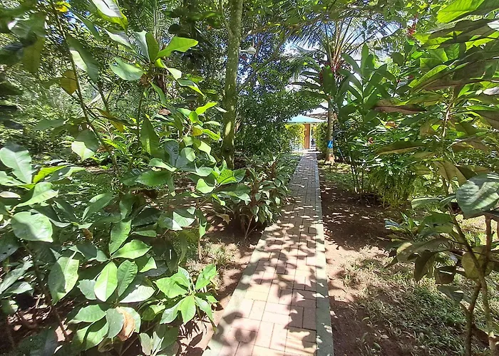 New Caribe Point Lodge Cahuita