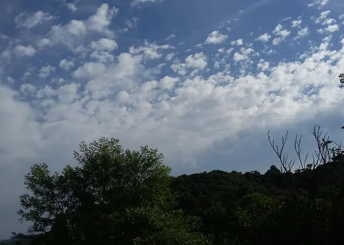 Refugio Em Meio A Mata Atlantica