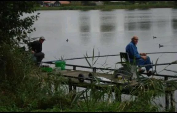 Stelle plas231