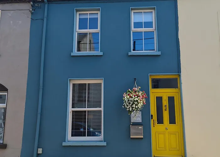 White Birds Townhouse In Sligo Town Center
