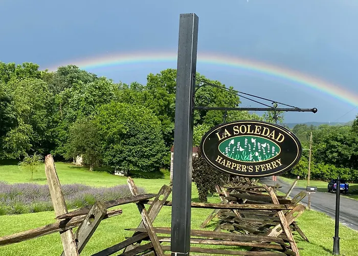 La Soledad Lavender Farm And Guesthouse