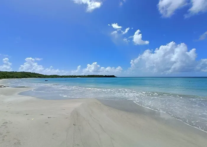 Le Madja'Kaz - Studio En Residence Et Bord De Mer - Sainte Luce Martinique