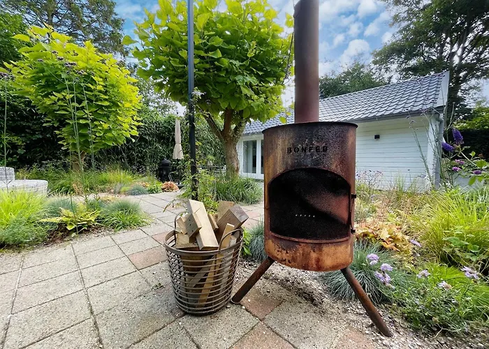 Duinstudio Bergen