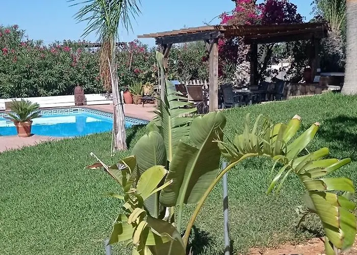 La Luciernaga