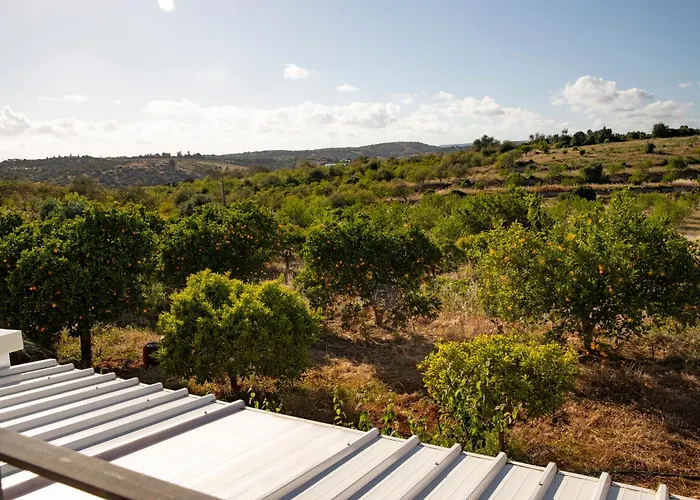 Quinta Dos Malhadais, Figueira - Farm House